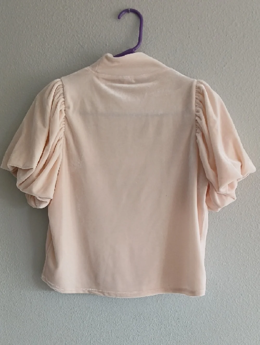 Free People Claudia Xs Puff Sleeve High Neck Top Light Pink Velvet